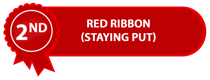 Red Ribbon | DOOR TO DOOR FLOORS