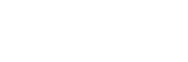 Door To Door Floors white logo