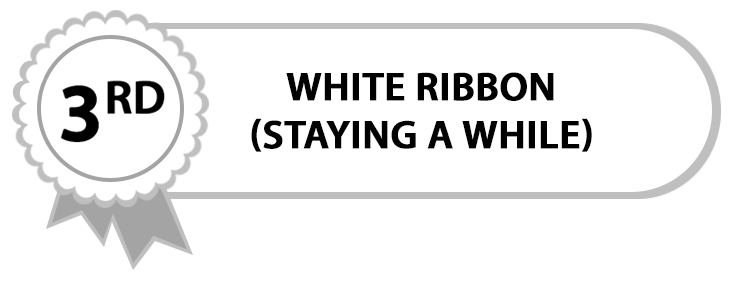 White Ribbon | DOOR TO DOOR FLOORS